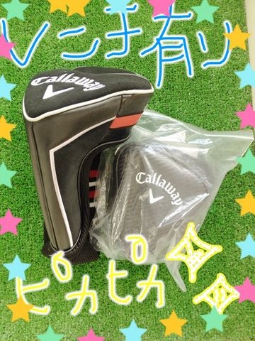 http://www.golfpartner.co.jp/424/12securedownload.jpg
