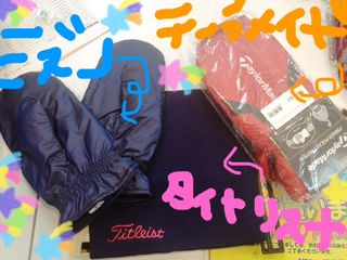 http://www.golfpartner.co.jp/424/hokkahoka.jpg