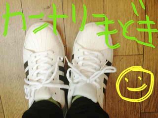 http://www.golfpartner.co.jp/424/tigau.jpg