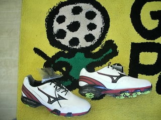 http://www.golfpartner.co.jp/486/324%20001.jpg