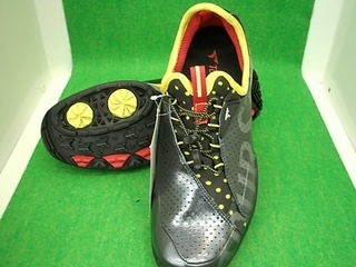 http://www.golfpartner.co.jp/486/yamamoto%20001.jpg