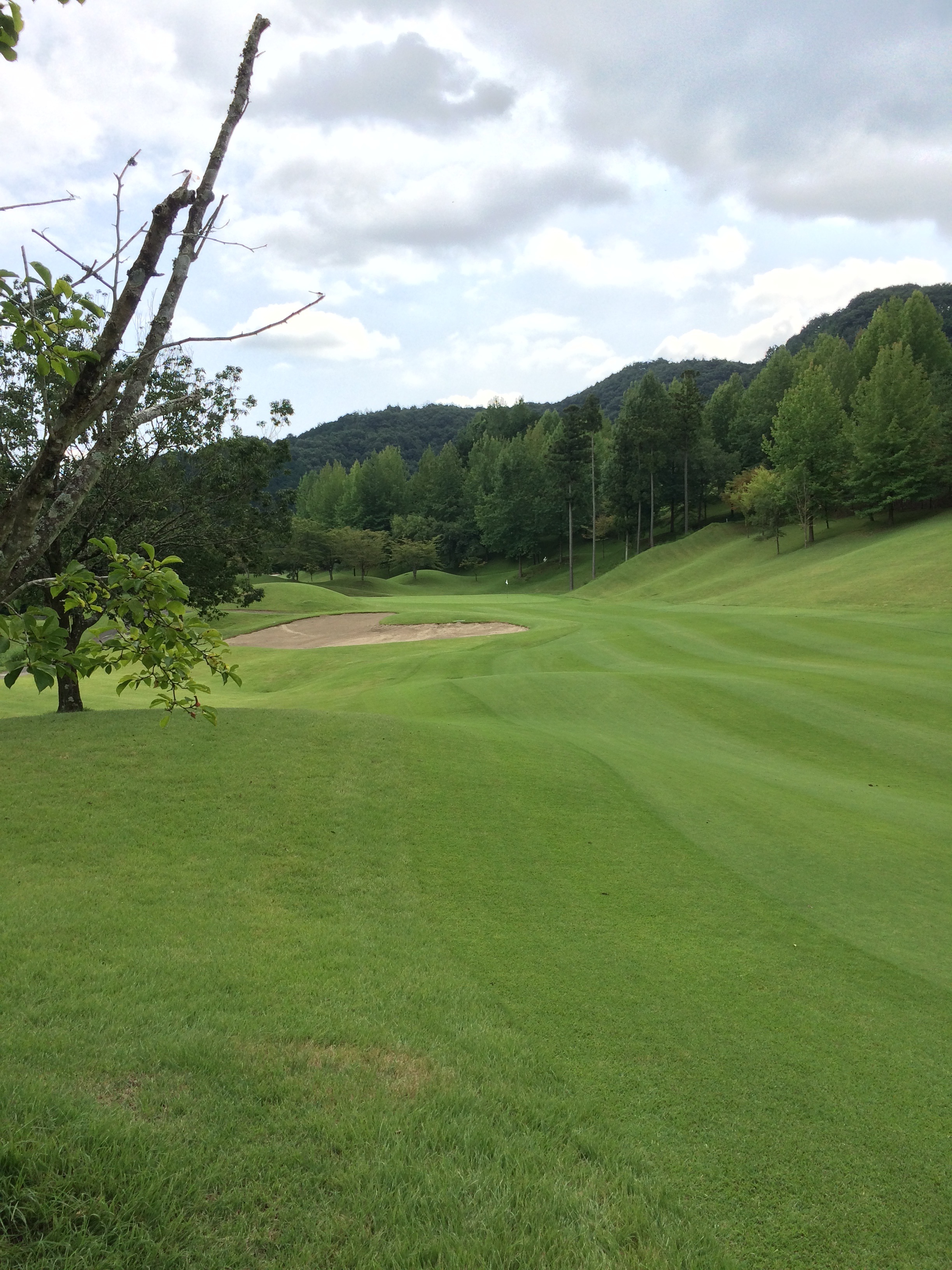http://www.golfpartner.co.jp/490/%E3%83%95%E3%82%A1%E3%82%A4%E3%83%AB%202015-09-16%2019%2026%2031.jpeg