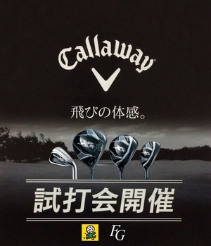 http://www.golfpartner.co.jp/490/3538_ext_04_0.jpg