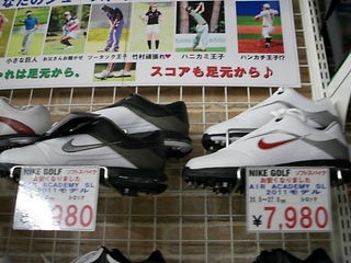 http://www.golfpartner.co.jp/490/DSCI%E7%84%A1%E3%81%84%E6%A9%9F%E7%A8%AE.JPG