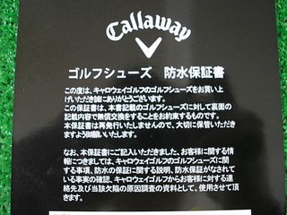 http://www.golfpartner.co.jp/490/DSCI%EF%BC%A3%EF%BC%B7%E3%80%80%E3%82%B7%E3%83%A5%E3%83%BC%E3%81%9A4.JPG