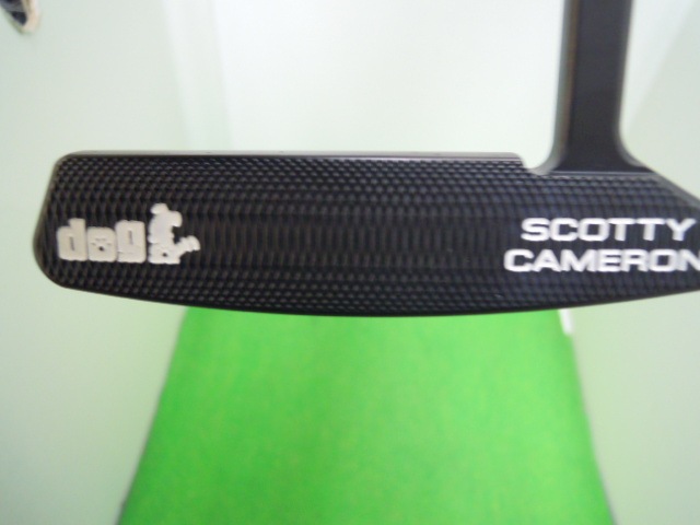 http://www.golfpartner.co.jp/511/images/DSCN3911.JPG