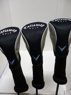 http://www.golfpartner.co.jp/532/P1020395.JPG