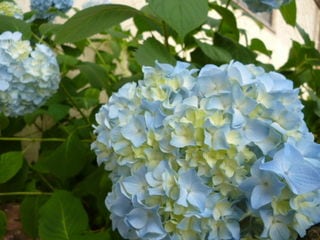 http://www.golfpartner.co.jp/532/P1020440.JPG