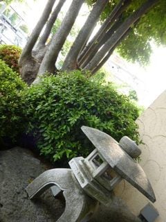 http://www.golfpartner.co.jp/532/P1020442.JPG