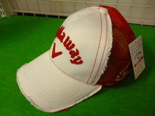 http://www.golfpartner.co.jp/532/P1040422.JPG