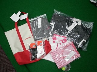 http://www.golfpartner.co.jp/532/PARAjyo.JPG