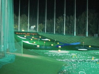 http://www.golfpartner.co.jp/535/IMG_7031.jpg