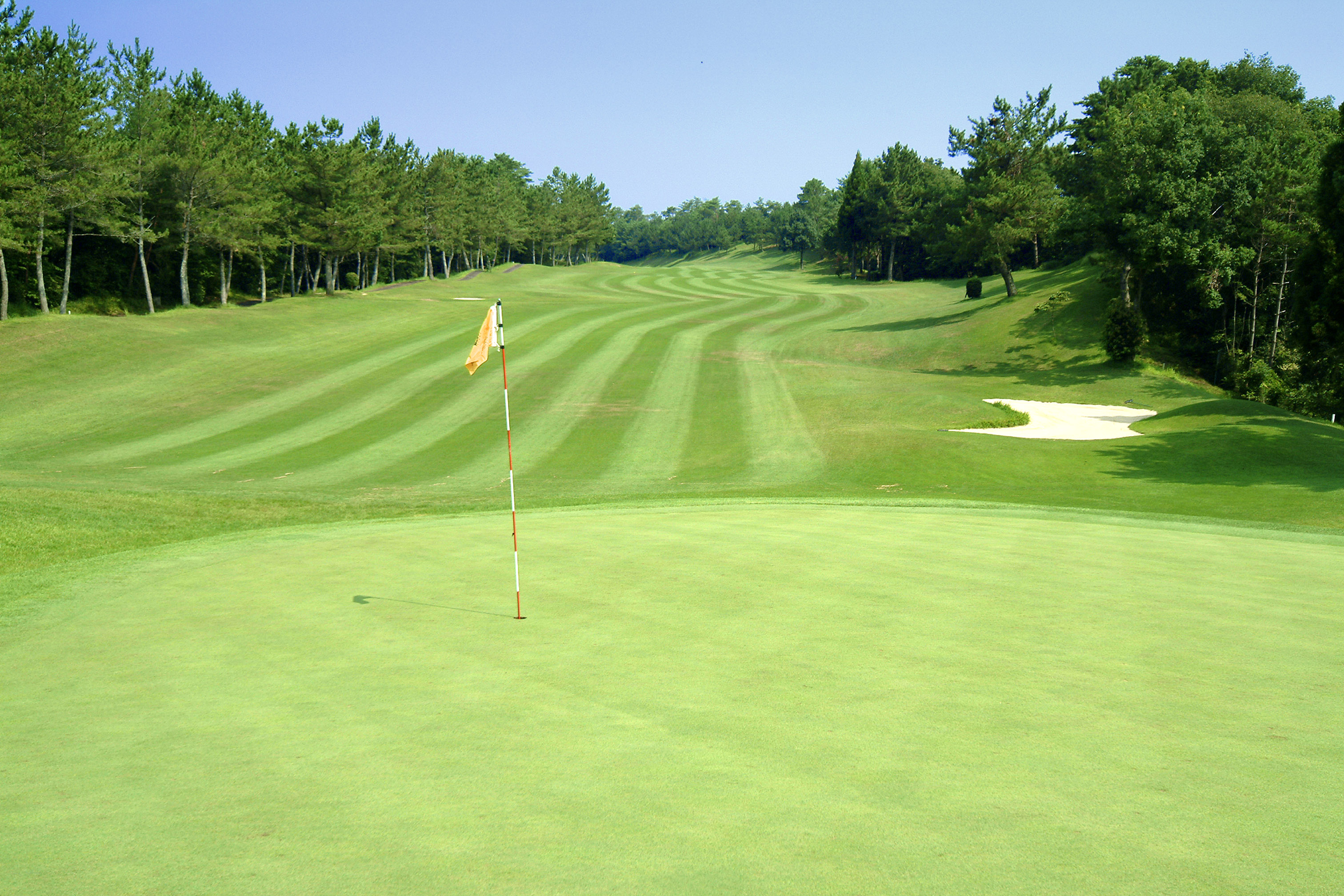 http://www.golfpartner.co.jp/536/%E3%82%B4%E3%83%AB%E3%83%95%E5%A0%B4lf.jpg
