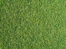 http://www.golfpartner.co.jp/536/%E3%83%80%E3%82%A6%E3%83%B3%E3%83%AD%E3%83%BC%E3%83%89.jpg