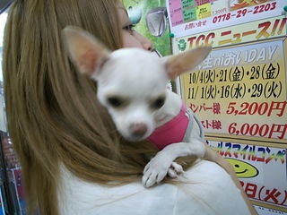 http://www.golfpartner.co.jp/536/2011101001%20%281%29.JPG