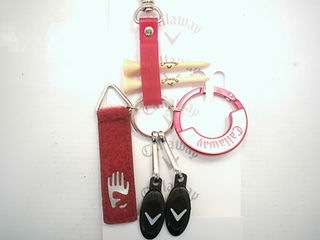http://www.golfpartner.co.jp/536/DSCI110607%E3%82%84.JPG
