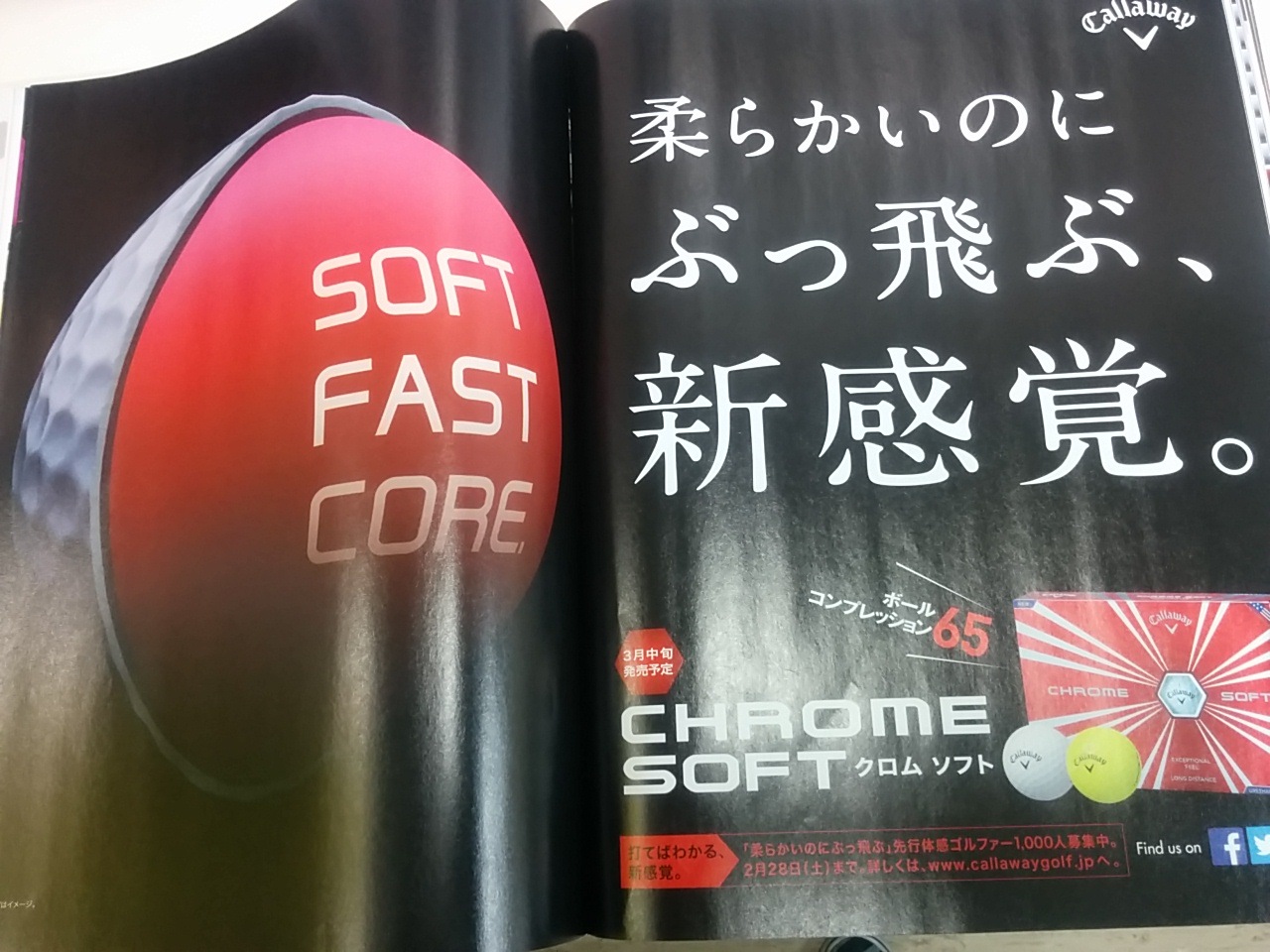 http://www.golfpartner.co.jp/536/IMG_20150303_100155.jpg
