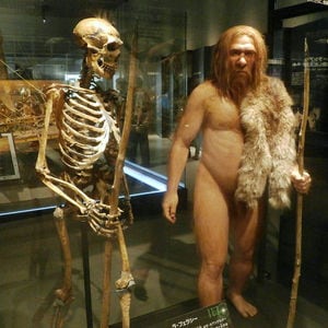 Skeleton_and_restoration_model_of_Neanderthal_La_Ferrassie_1.jpg