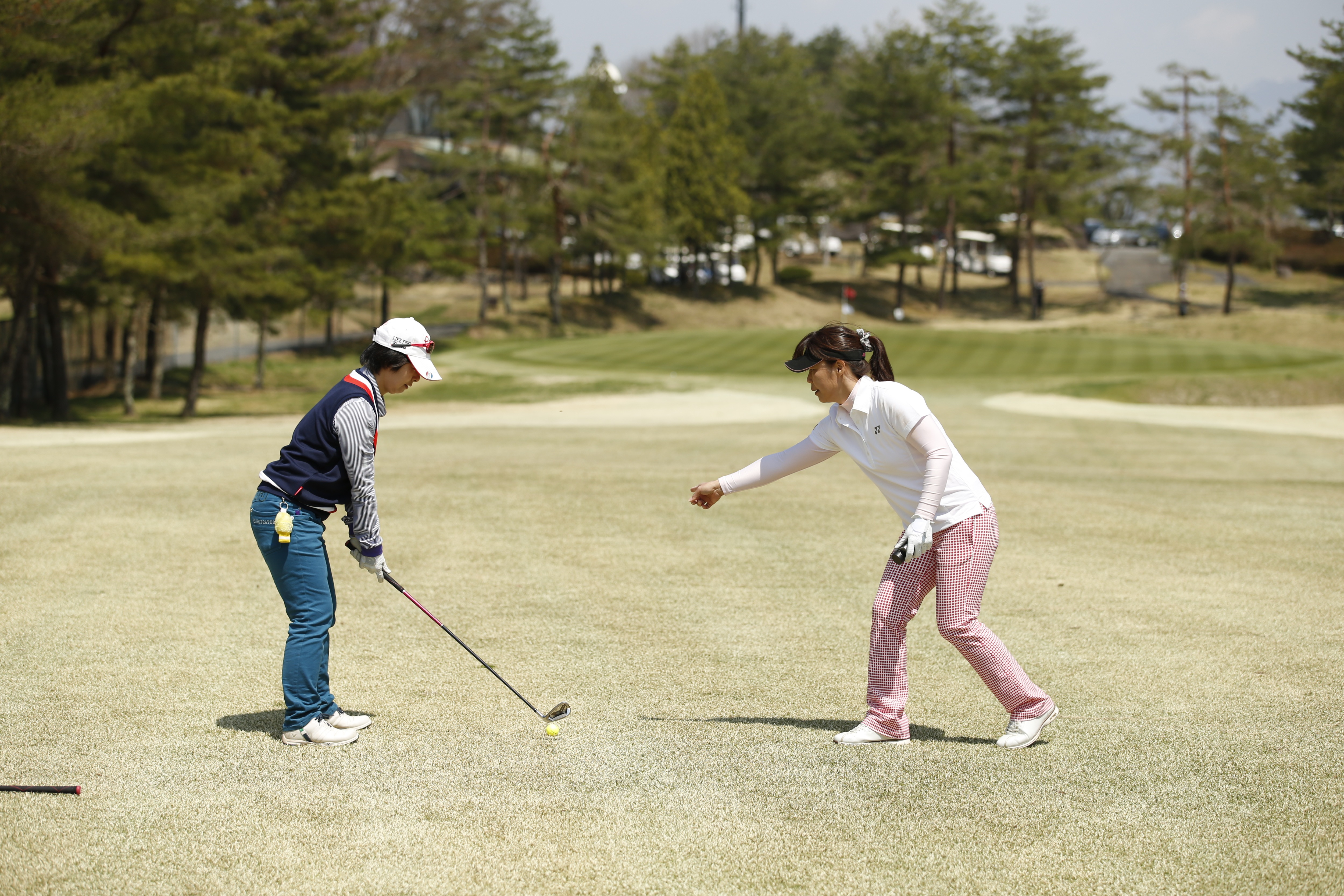 http://www.golfpartner.co.jp/550/103.JPG