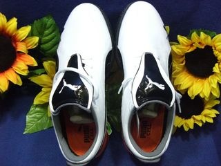 http://www.golfpartner.co.jp/550/CIMG3892.JPG