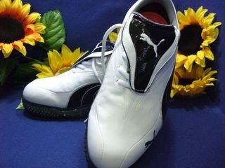 http://www.golfpartner.co.jp/550/CIMG3893.JPG