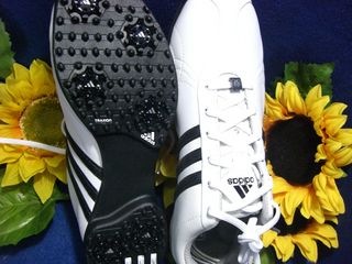http://www.golfpartner.co.jp/550/CIMG7099.JPG