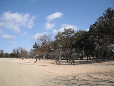 http://www.golfpartner.co.jp/550/DSCF0238.JPG