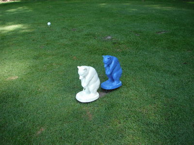 http://www.golfpartner.co.jp/550/DSCF0269.JPG