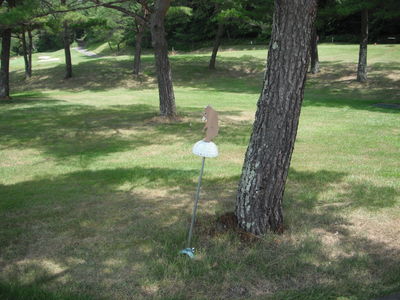 http://www.golfpartner.co.jp/550/DSCF0277.JPG
