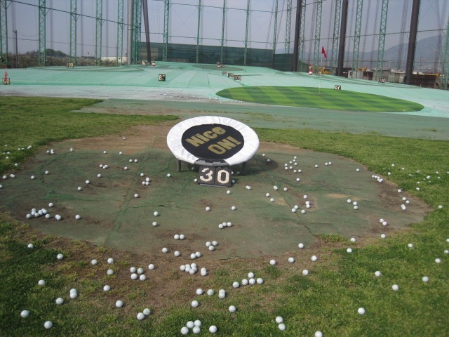 http://www.golfpartner.co.jp/550/IMG_0831.JPG