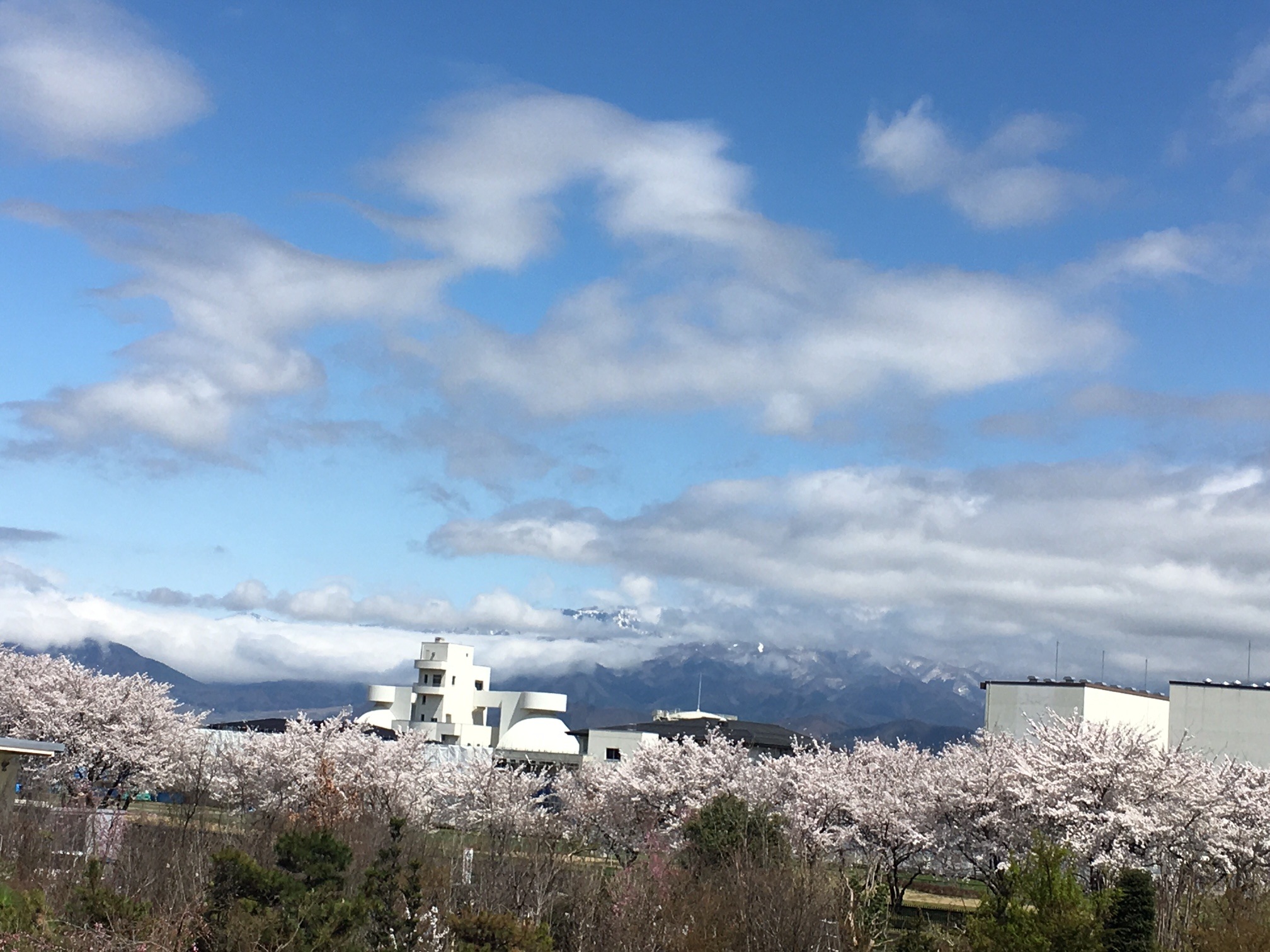 http://www.golfpartner.co.jp/550/IMG_7569.JPG