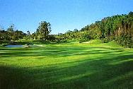 http://www.golfpartner.co.jp/551/356502-1y.jpg