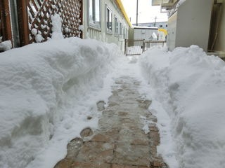 http://www.golfpartner.co.jp/551/CIMG0234.JPG