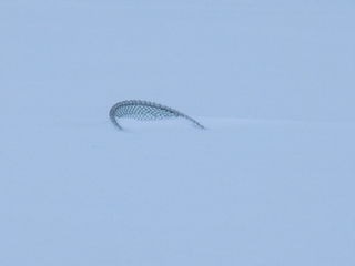 http://www.golfpartner.co.jp/551/CIMG0236.JPG