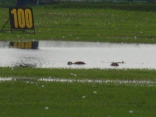 http://www.golfpartner.co.jp/551/CIMG2448.JPG