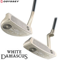 http://www.golfpartner.co.jp/551/cw11-dms-top.jpg