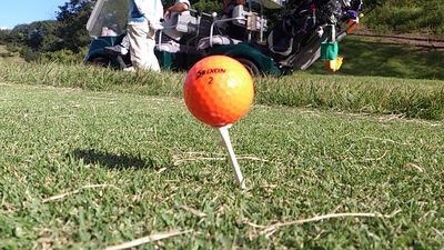 http://www.golfpartner.co.jp/554/%E3%83%8A%E3%83%8A%E3%83%A1.jpg