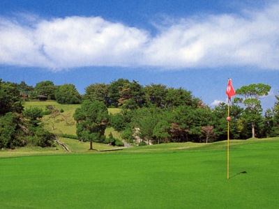 http://www.golfpartner.co.jp/554/%E5%BD%A6%E6%A0%B9C.jpg