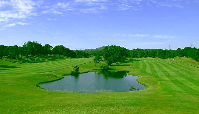 http://www.golfpartner.co.jp/554/%E7%AB%9C%E7%8E%8B.jpg