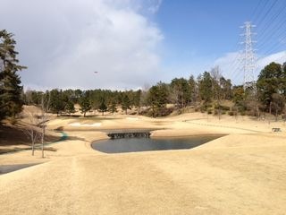 http://www.golfpartner.co.jp/554/%E8%8C%A8%E6%9C%A8.JPG