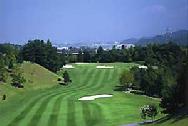 http://www.golfpartner.co.jp/554/615201-1y.jpg