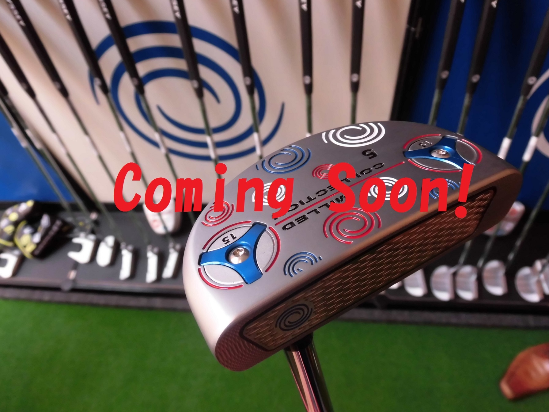 http://www.golfpartner.co.jp/554/CIMG0194-2.jpg