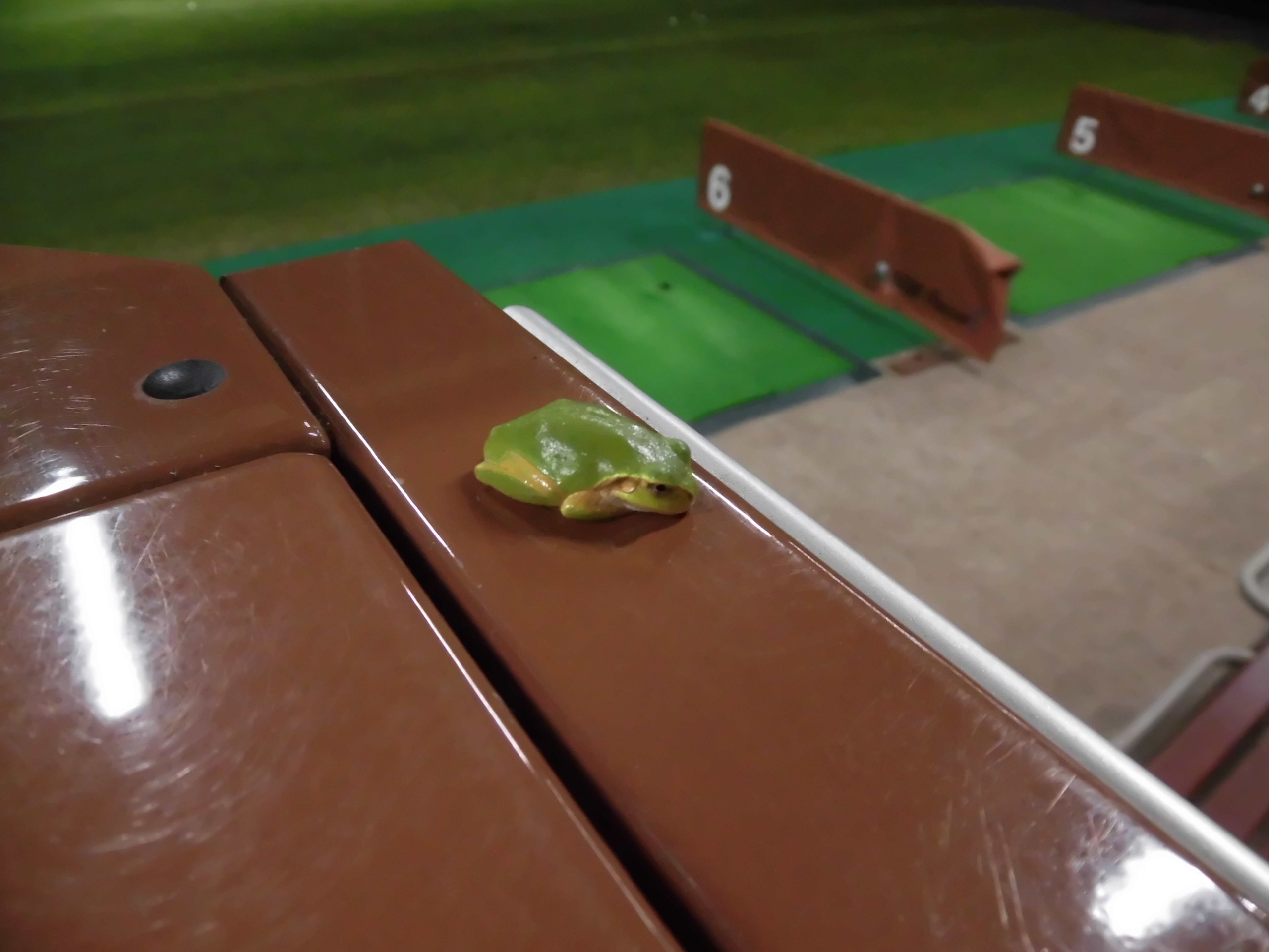 http://www.golfpartner.co.jp/554/CIMG8260.JPG
