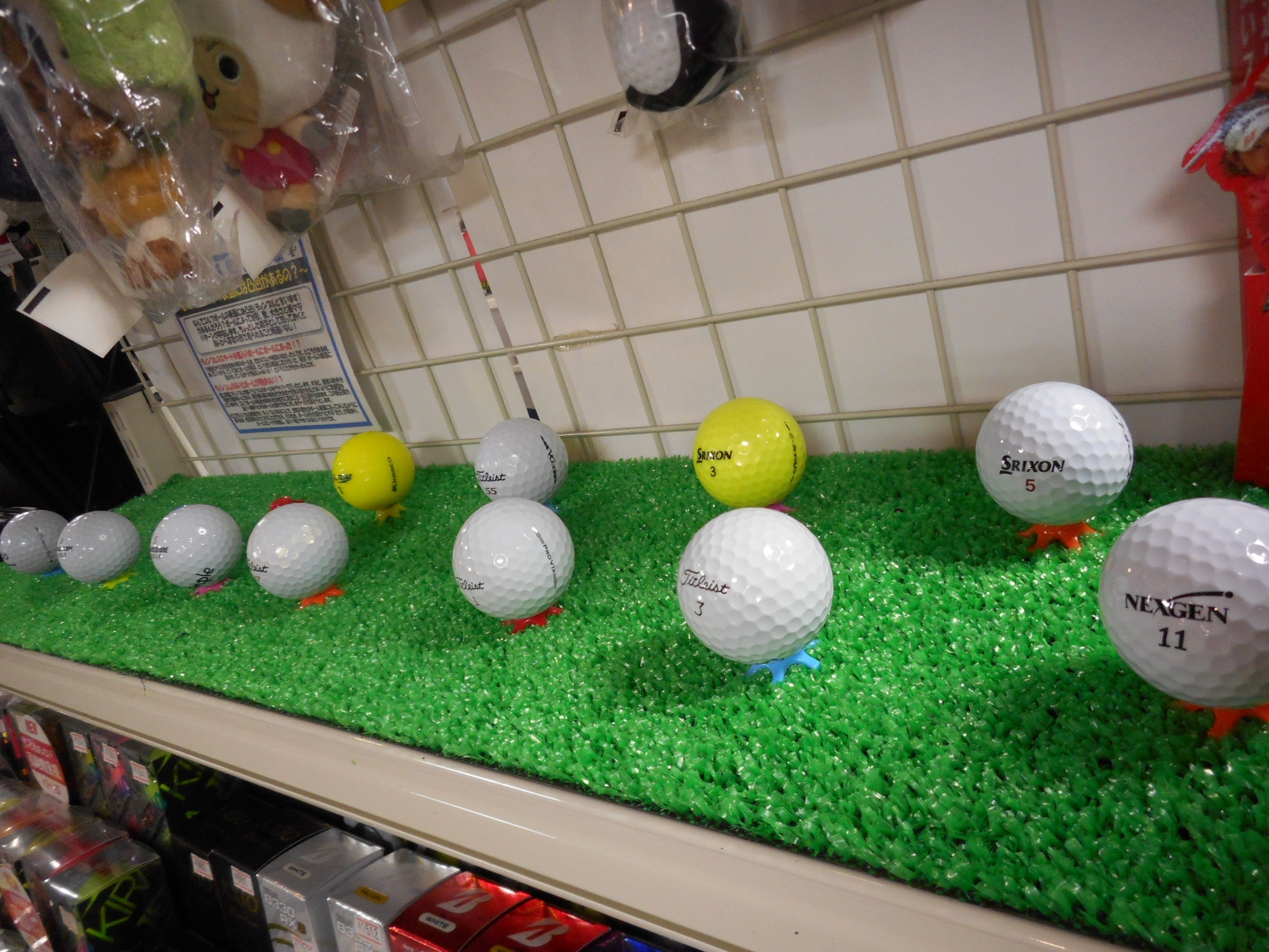 http://www.golfpartner.co.jp/554/DSCN2920.JPG