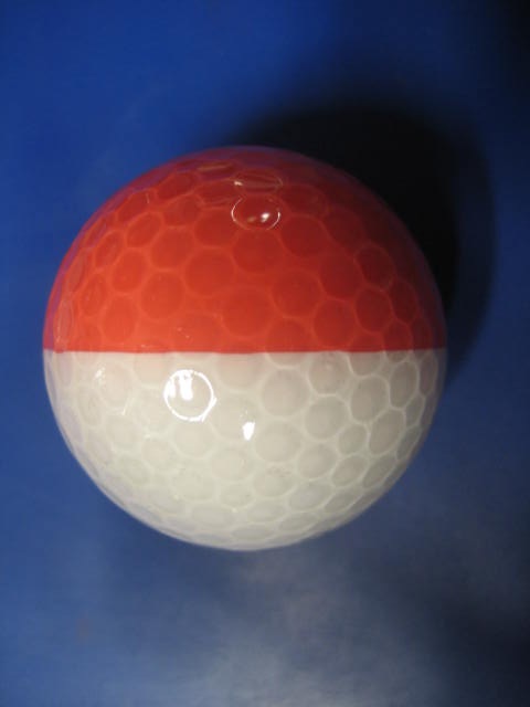 http://www.golfpartner.co.jp/554/IMG_0125.JPG
