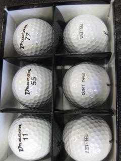 http://www.golfpartner.co.jp/554/IMG_0408.JPG
