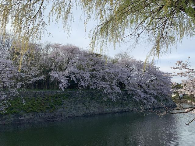 http://www.golfpartner.co.jp/554/IMG_0416.JPG