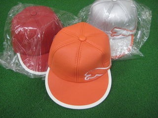 http://www.golfpartner.co.jp/554/IMG_0530.JPG