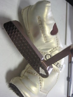 http://www.golfpartner.co.jp/554/IMG_1100.JPG