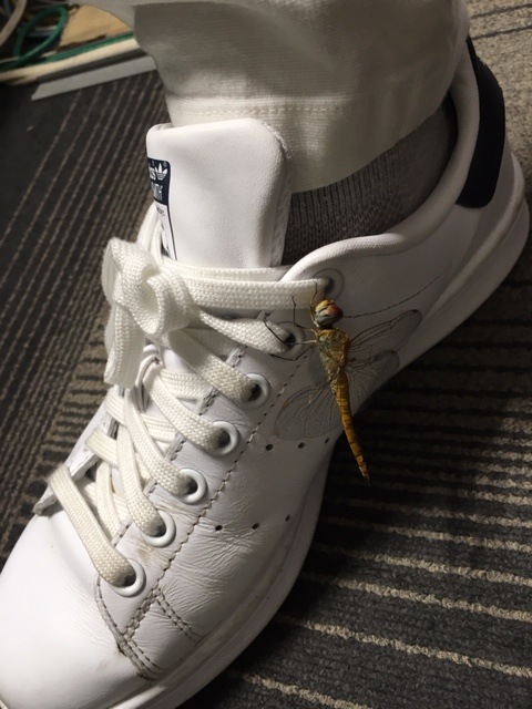 http://www.golfpartner.co.jp/554/IMG_1596.JPG